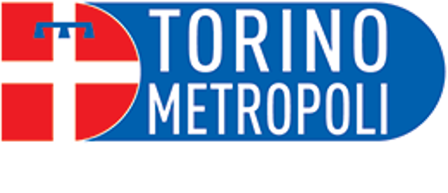 Elezioni del Consiglio della Città Metropolitana di Torino