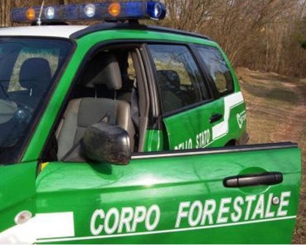 I carabinieri forestali cambiano sede